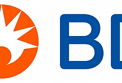 BD