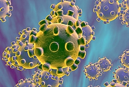 Human T-cell Lymphotropic Virus (HTLV)